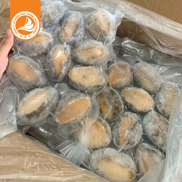 Bào ngư 10 con net 6 – Thùng 10kg 1 Bào ngư 10 con Net 6 – Thùng 10kg | Hương vị bào ngư đông lạnh nhập khẩu thượng hạng