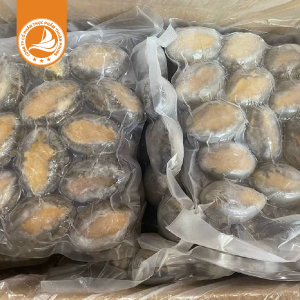Bào Ngư 12 Con Net 6 – Thùng 10kg | Bào Ngư Đông Lạnh Nhập Khẩu Chất Lượng Cao