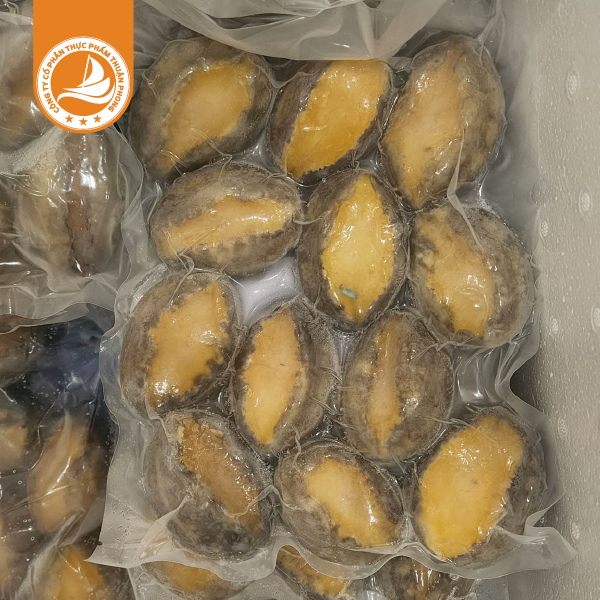 Bào ngư 12 con net 6 – Thùng 10kg 3 Bào Ngư 12 Con Net 6 – Thùng 10kg | Bào Ngư Đông Lạnh Nhập Khẩu Chất Lượng Cao