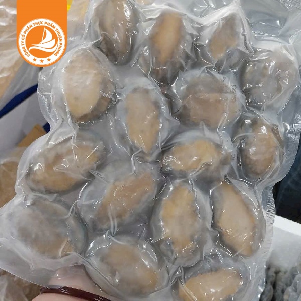 Bào ngư 16 con net 6 – Thùng 10kg 2 Bào ngư 16 con net 6 đông lạnh nguyên con nhập khẩu