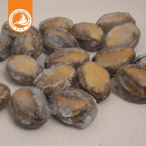 Bào ngư 16 con net 6 – Thùng 10kg 5 Bào ngư 16 con net 6 đông lạnh nguyên con nhập khẩu