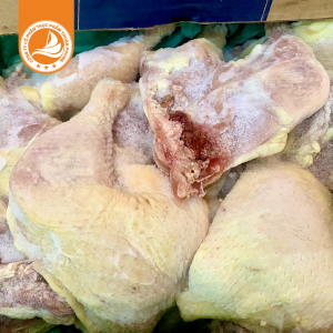 Trang Chủ 115 Góc tư đùi gà 500g up – phần thịt gà nhiều nạc, đóng gói thùng 15Kg