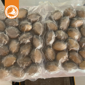 Trang Chủ 131 Bào ngư 20 con net 6 – Thùng 10Kg | Cao cấp, bổ dưỡng, thích hợp cho món hầm và tiệc sang trọng