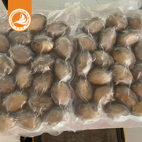 Bào ngư 20 con net 6 - Thùng 10Kg 2 Bào ngư 20 con net 6 – Thùng 10Kg | Cao cấp, bổ dưỡng, thích hợp cho món hầm và tiệc sang trọng