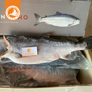 Cá hồi nguyên con không đầu – Thùng 26Kg | Tươi ngon, giàu Omega-3, thích hợp cho chế biến đa dạng