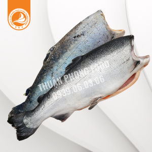 Cá hồi nguyên con không đầu – Thùng 26Kg | Tươi ngon, giàu Omega-3, thích hợp cho chế biến đa dạng