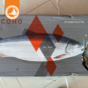 Cá hồi nguyên con không đầu - Thùng 26Kg 5 Cá hồi nguyên con không đầu – Thùng 26Kg | Tươi ngon, giàu Omega-3, thích hợp cho chế biến đa dạng