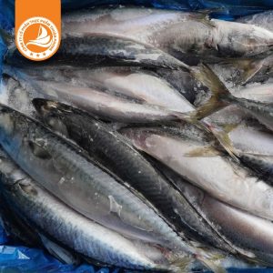 Cá Sapa 150/200g – Thùng 10Kg | Tươi ngon, dễ chế biến, phù hợp cho kho, nướng và chiên