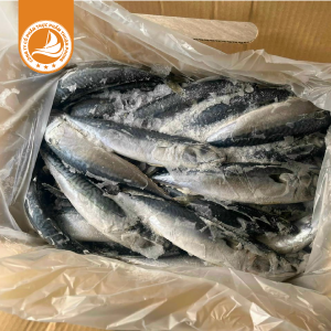 Cá Sapa 300/500g (nục bông) – Thùng 10Kg | Tươi ngon, dễ chế biến, thích hợp cho món kho và nướng