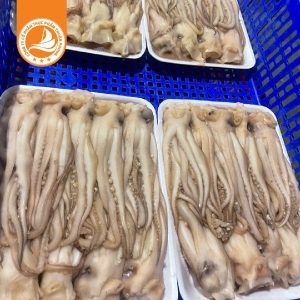 Đầu mực vỉ 1kg – Thùng 10Kg | Tươi ngon, tiện lợi, giàu dinh dưỡng