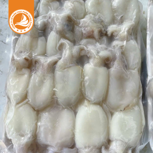 Mực bầu làm sạch 20/40 – Thùng 10Kg | Tươi ngon, sạch sẽ và tiện lợi