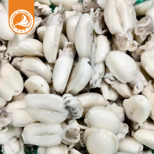 Mực bầu làm sạch 20/40 - Thùng 10Kg 5 Mực bầu làm sạch 20/40 – Thùng 10Kg | Tươi ngon, sạch sẽ và tiện lợi