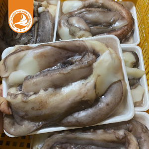 Râu tuộc đại dương – Thùng 10kg | Tươi ngon, giàu dinh dưỡng