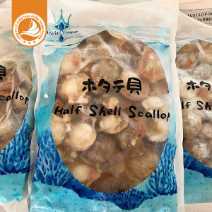 Sò điệp nửa mảnh 30/40 – Thùng 10kg | Thịt sò điệp ngọt, tiện lợi, chế biến nhanh