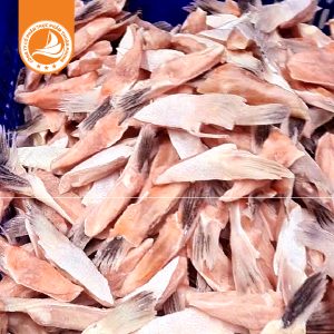 Vây cá hồi lớn 30/40 – Thùng 10Kg | Giàu Omega-3, thơm ngon và bổ dưỡng