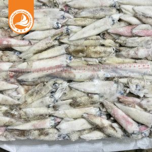 Mực ống Mỹ size 28/32 – Thùng ~13Kg. Tươi ngon, dai giòn, giàu dinh dưỡng