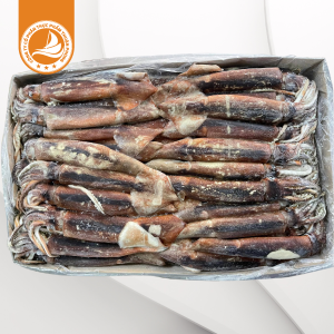 Mực ống 200/300 – Thùng 12kg | Tươi ngọt, dai giòn chuẩn vị biển