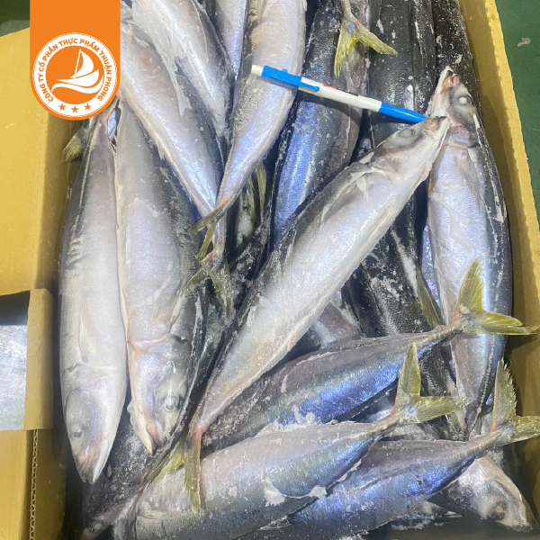 Cá nục gốc đuôi xanh size 400/500g – Thùng 15kg 2 Cá nục gốc đuôi xanh size 400/500g là dòng cá biển tươi ngon, thịt chắc, ít xương dăm, vị ngọt tự nhiên. Cá được cấp đông ngay sau khi đánh bắt, giữ trọn chất lượng và giá trị dinh dưỡng.