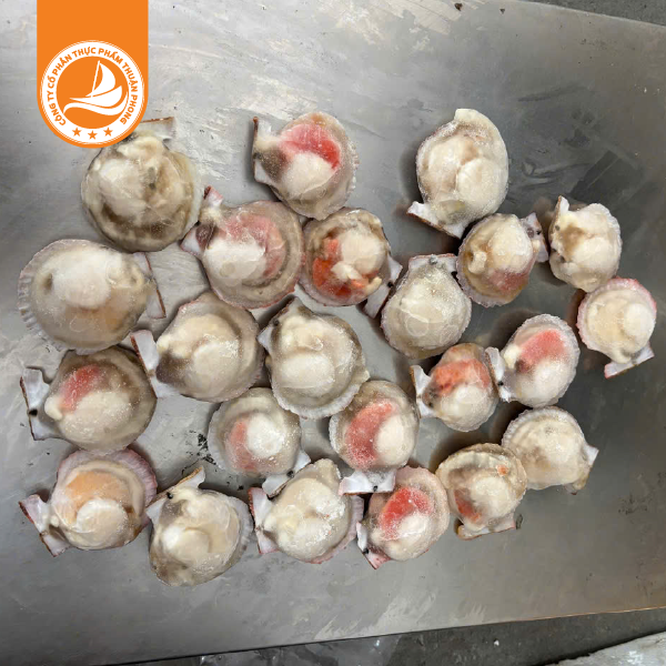 Sò điệp Nhật nửa mảnh size 20/30 – Thùng 10kg 3 Sò điệp Nhật nửa mảnh size 20/30 – Thùng 10kg | Thịt ngọt, dai mềm, chuẩn vị hải sản cao cấp