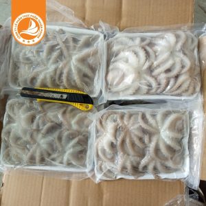 Bạch tuộc size 10–20 con – Thùng 10kg | Bạch tuộc đông lạnh nhập khẩu, giòn ngọt tự nhiên