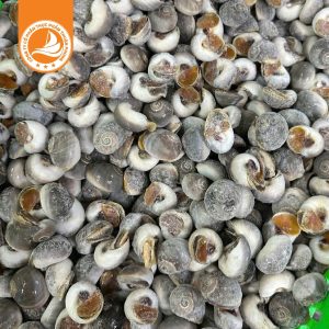 Ốc mỡ size 100/150 con – Thùng 10kg 3 Ốc mỡ size 100/150 con – Thùng 10kg
