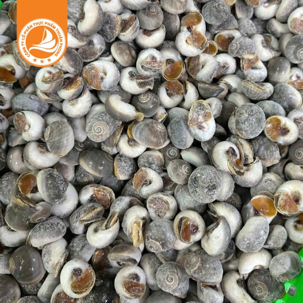 Ốc mỡ size 100/150 con – Thùng 10kg 2 Ốc mỡ size 100/150 con – Thùng 10kg