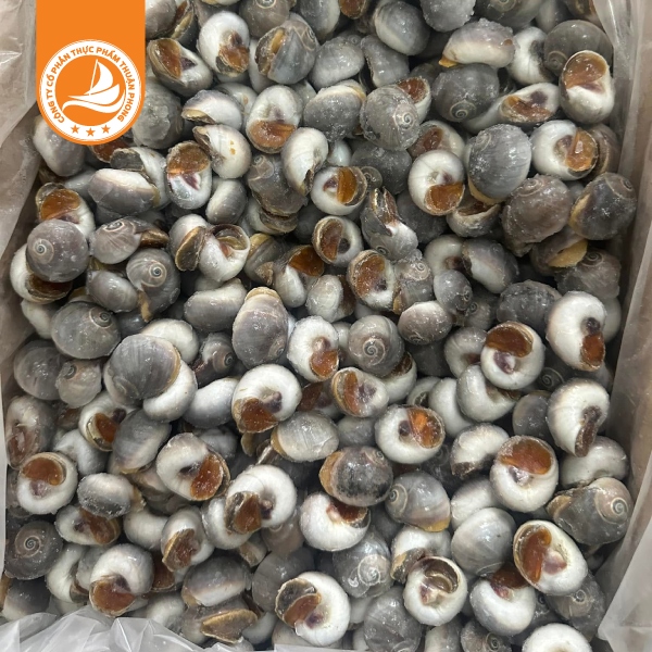 Ốc mỡ size 100/150 con – Thùng 10kg 1 Ốc mỡ size 100/150 con – Thùng 10kg